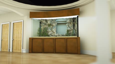 Tanked Watch Full Episodes More Animal Planet