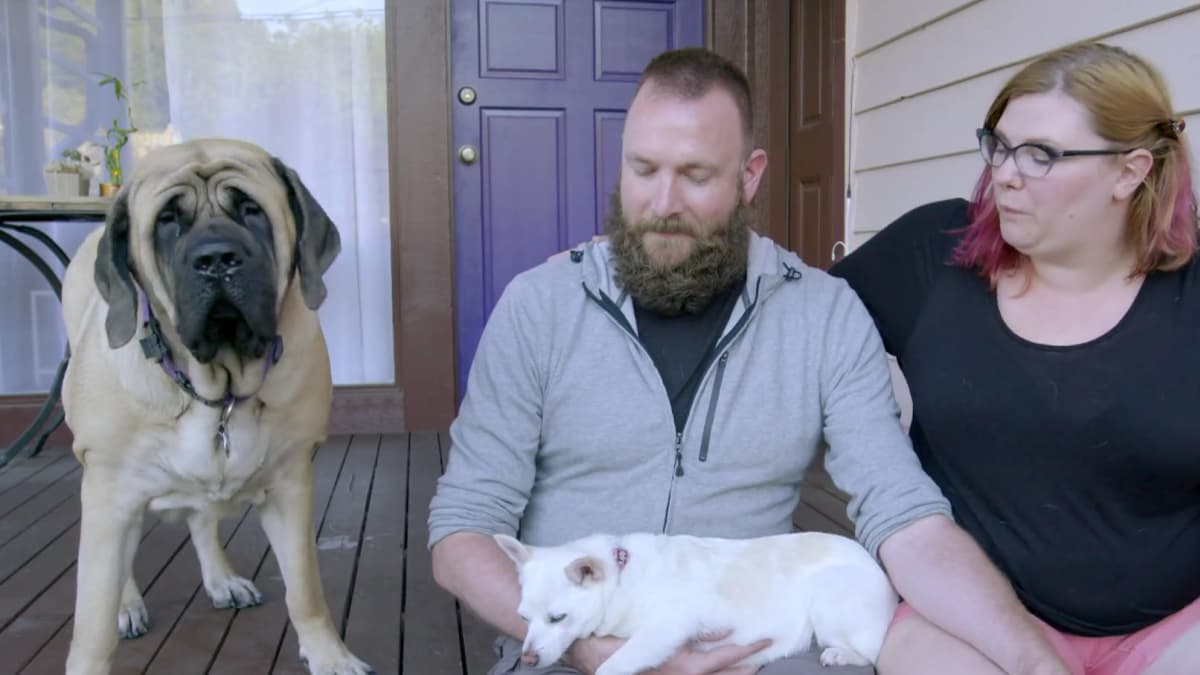 A Backyard to Drool For Animal Cribs