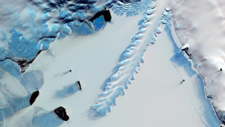Science Official Site