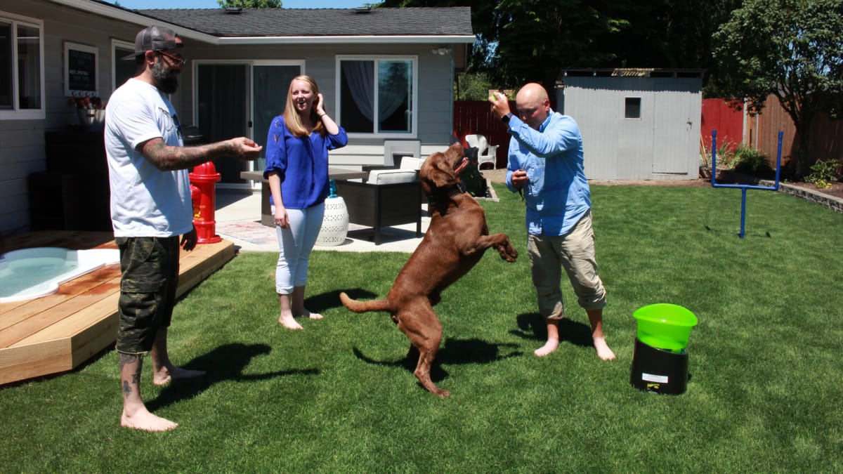 Football Pup Palace Animal Cribs