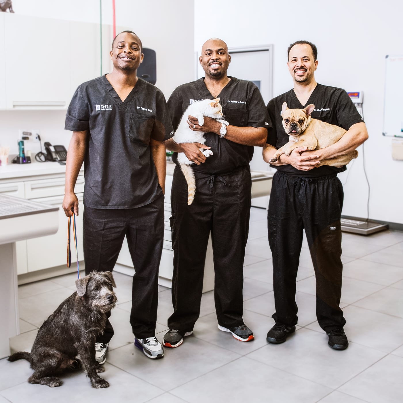 The Vet Life Watch Full Episodes & More! Animal