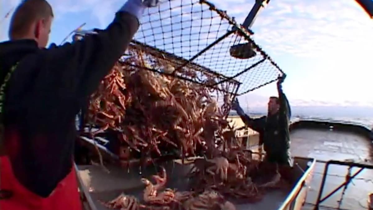 On the Crab Deadliest Catch
