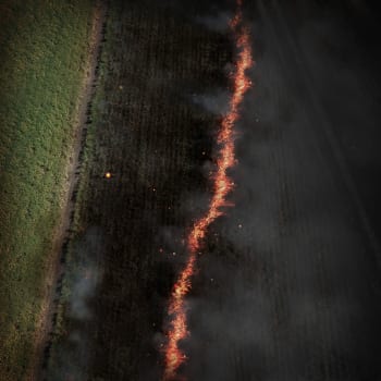 Investigation Discovery