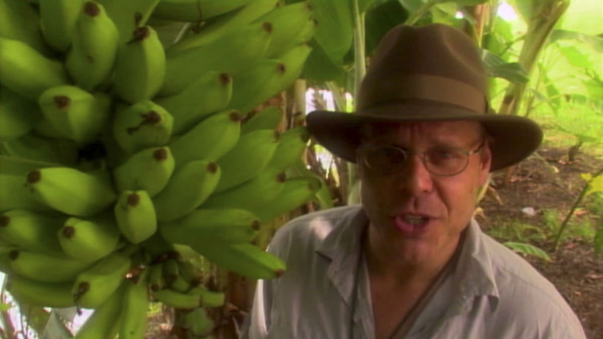 Going Bananas Good Eats