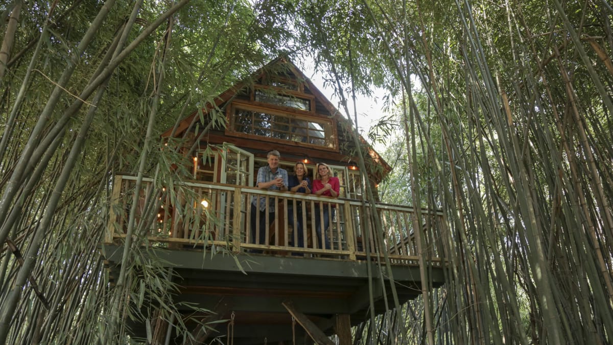 Ultimate Treehouses VI | Treehouse Masters