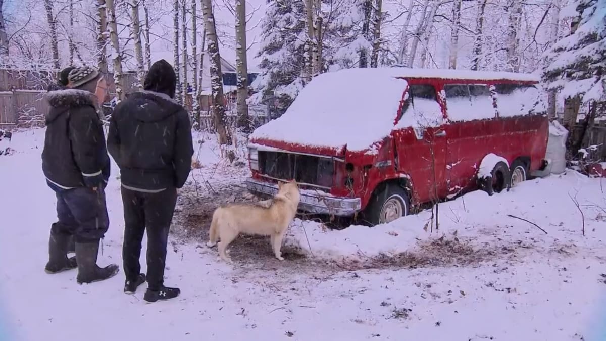 How to Build a Dog Sled Van | Last Stop Garage