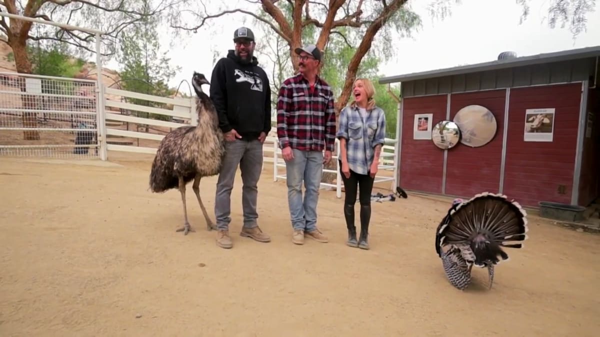 Rescue Ranch Remodel Animal Cribs