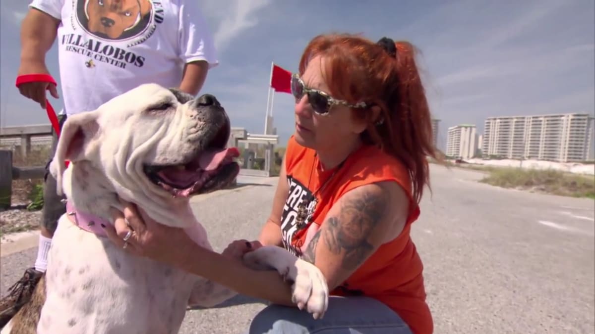 Last Chance | Pit Bulls & Parolees