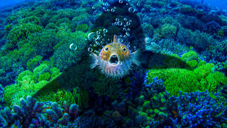 Discovery Channel Shows >> Discovery Shows Watch Now For Free Discovery Channel Shows >> Discovery Shows Watch Now For Free