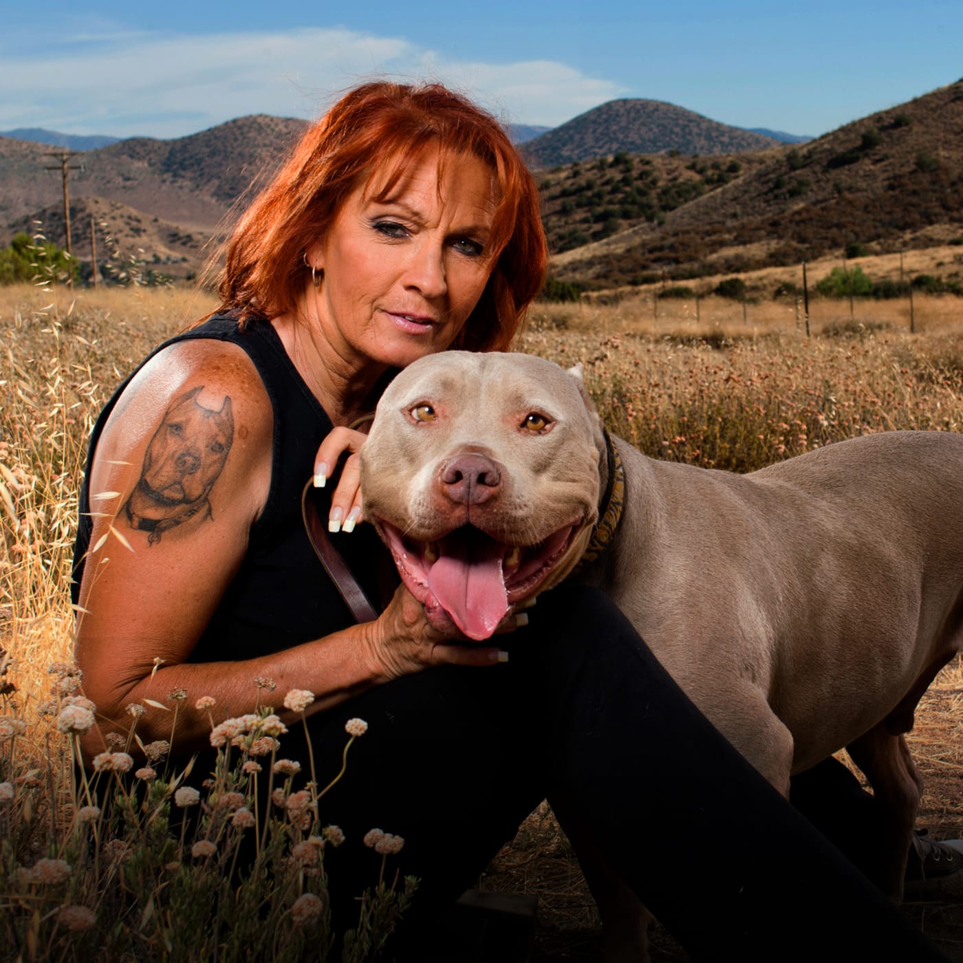 Pitbulls And Parolees 2025 Calendar Google Scholar Leigh Rosella