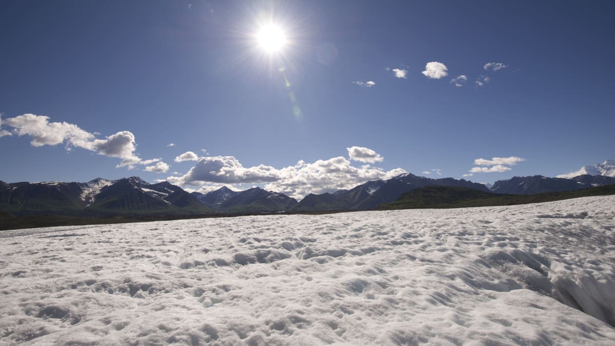 The Road Edge of Alaska