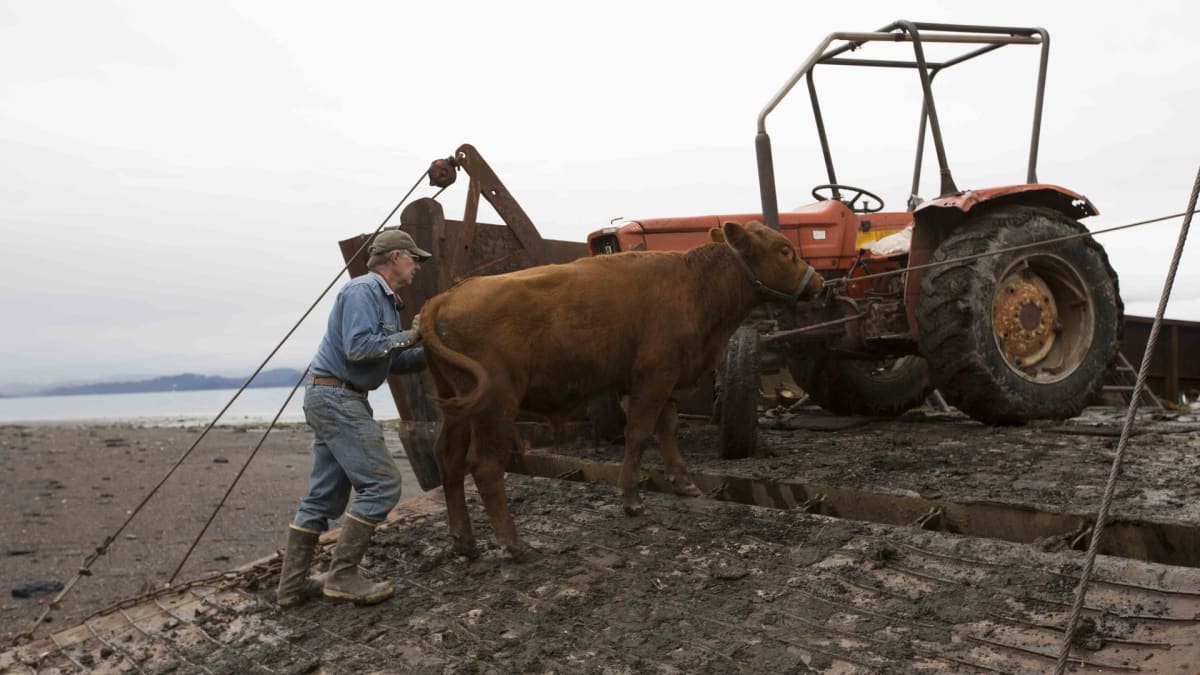 Journey to Perl Island Alaska The Last Frontier
