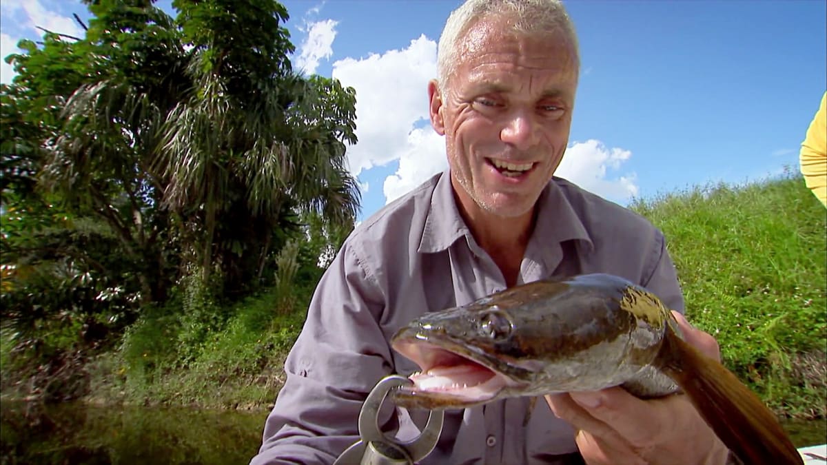 Killer Snakehead | River Monsters