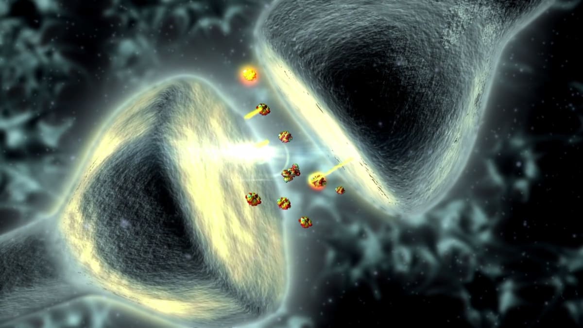 What Makes Us Who We Are? Through the Wormhole with Freeman