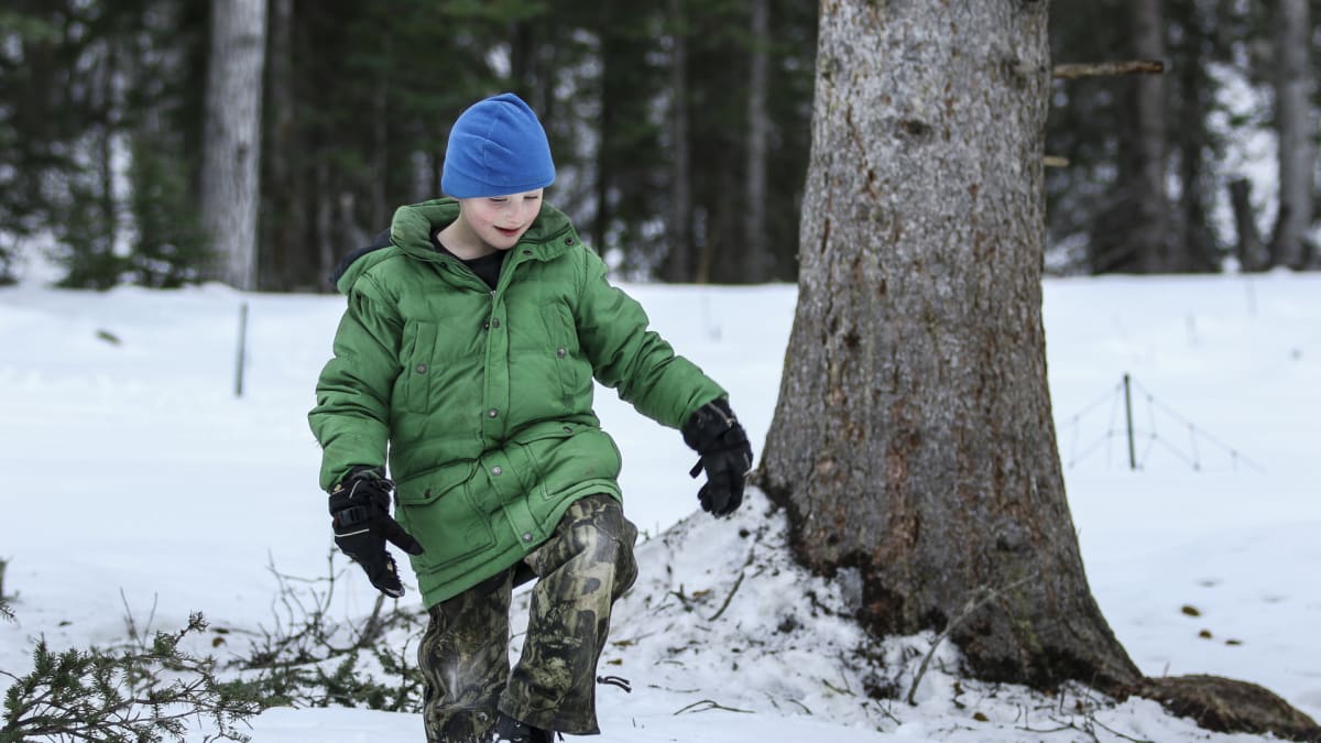 Starvation Country Edge of Alaska
