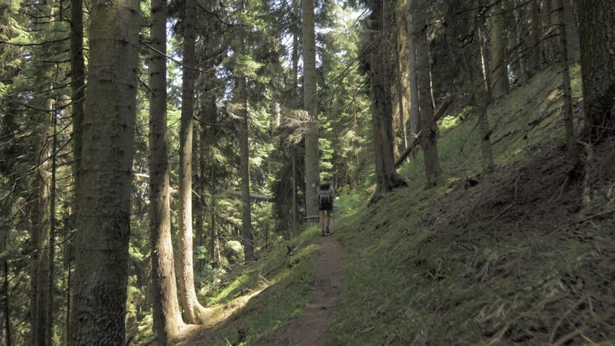 Stalked by Bigfoot and More | Paranormal Caught on Camera