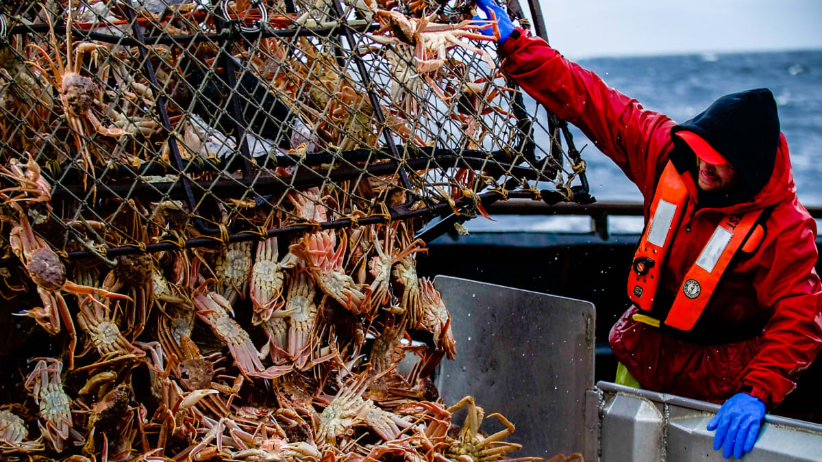 Dutch Harbor Double Cross | Deadliest Catch