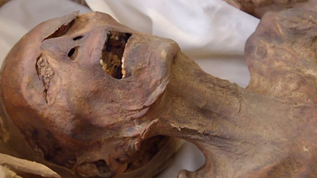 Screaming Mummy Conspiracy | Mummy Unexplained Files