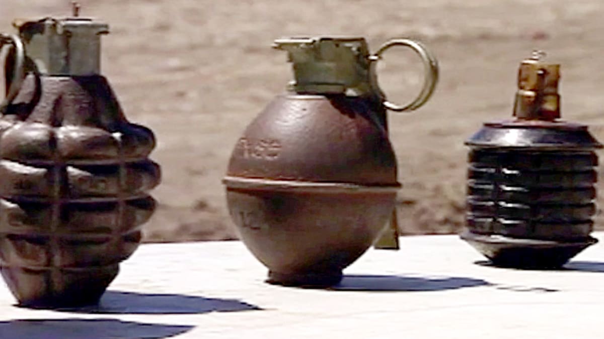 Grenades and Guts | MythBusters