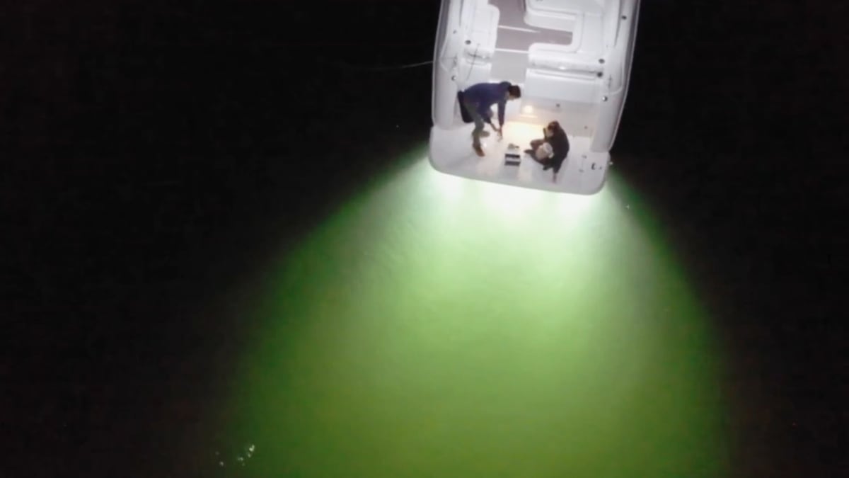 Alaska Monsters Season 2 Episode 8
