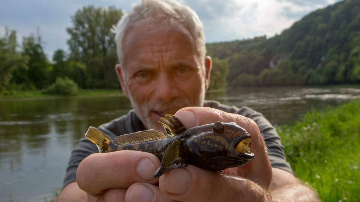 The Danube Jeremy Wade's Mighty Rivers