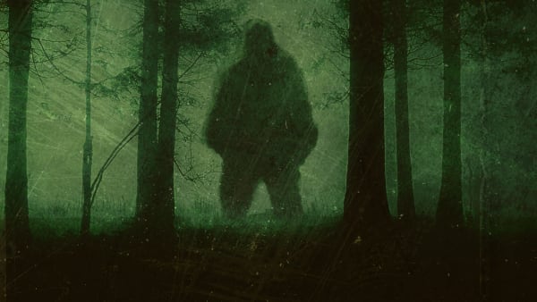 Into The Woods Streaming Vf Bigfoot: Fear in the Woods | Watch Full Episodes & More! - Travel Channel