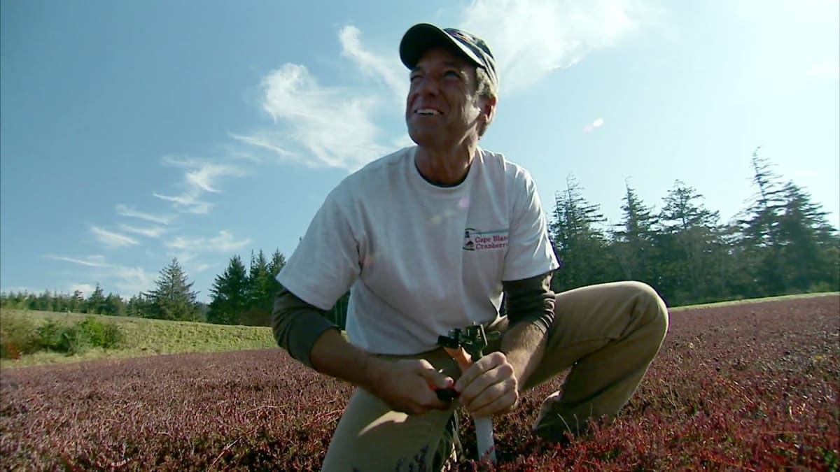 Cranberry Farmer Dirty Jobs Discovery