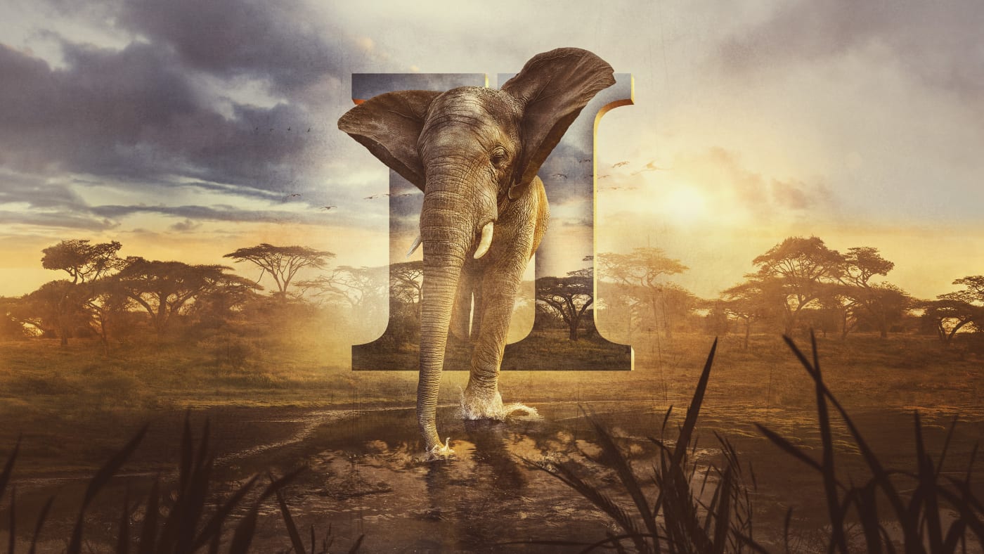 Animal Planet Official Site
